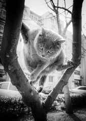 “20130330_豆豆_1198”为智能对象-1.jpg