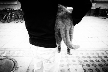 “20130330_豆豆_1254”为智能对象-11.jpg