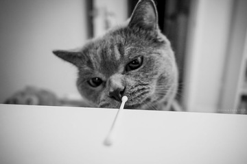 “20140108_5130”small