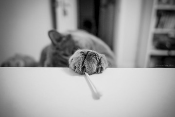 “20140108_5135”small