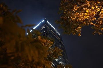 09D27DE3-7C13-455B-881D-1EE430FA439D/L0/001