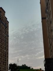941568