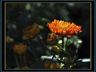 DSC_0178.jpg