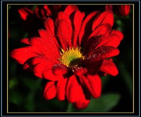 DSC_0367.jpg