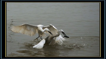 DSC_0700.jpg