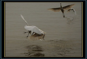 DSC_0745.jpg