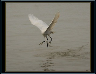 DSC_0764.jpg