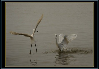 DSC_0783.jpg