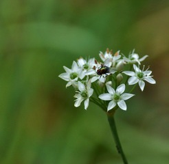 DSC_0092.jpg