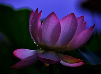 DSC_0141.jpg