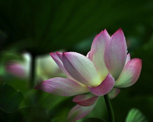 DSC_0025.jpg