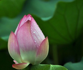 DSC_0030.jpg