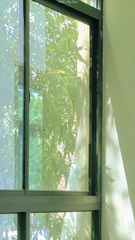 A0364939-326D-4498-A9BE-97D409E08823/L0/001