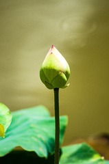 19024