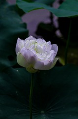 19014