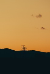 263230