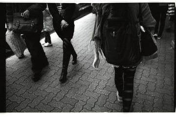 IMG0020.jpg