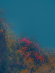 D21637BA-81E7-4AF5-B2A4-C6F99B5F0423/L0/001