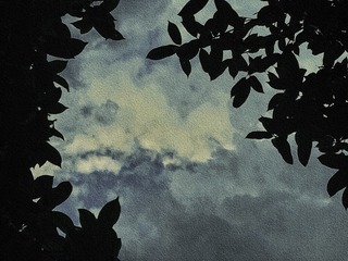 9E1759DA-F06F-489B-8EF0-22127539BF6F/L0/001