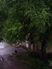 96B54E0A-B1D9-4CD3-8A01-E6AE29AA8CA5/L0/001
