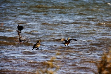 _MG_3790.jpg