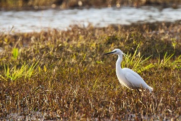 _MG_3879.jpg