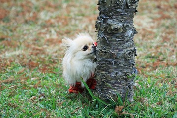 IMG_0879_F.JPG