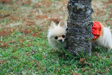 IMG_0877_F.JPG