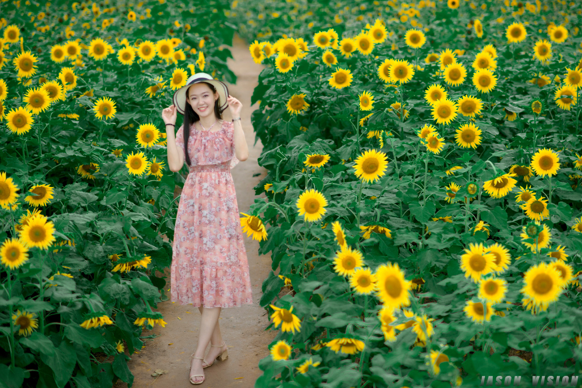 向日葵花海人像