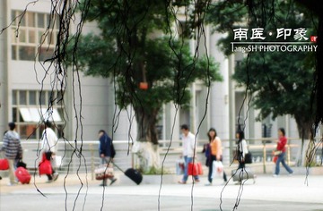踏上新征程（又是一年归去时，在这凤凰花开的时节。沉甸甸的行囊负载的除了知识还有理想，更有一份殷切的希望，自此踏上征途，不再畏惧