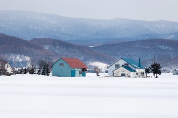 IMG_8241-LR