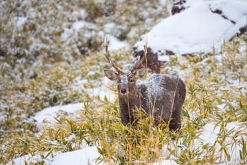 IMG_8652-LR