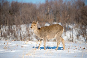 IMG_8844-LR