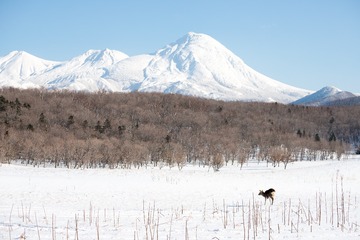 IMG_8818-LR