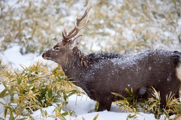 IMG_8659-LR