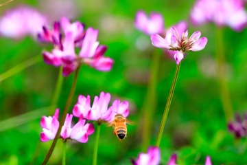 IMG_9615-LR