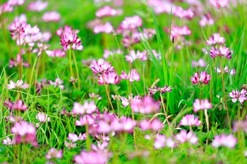 IMG_9613-LR