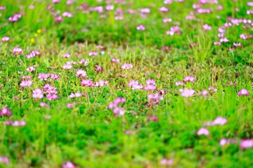 IMG_9607-LR