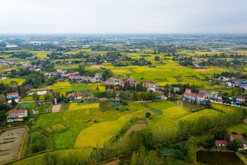 DJI_0633-LR