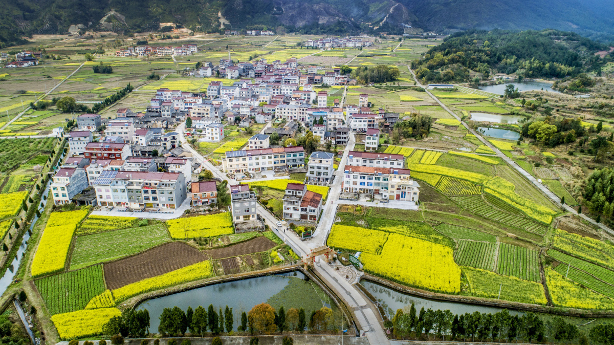 浙江仙居发扬主人翁精神为美丽乡村建设出力