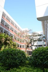 SUN_2506.JPG