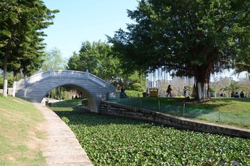 SUN_2519.JPG