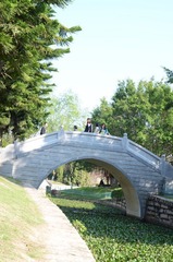 SUN_2520.JPG