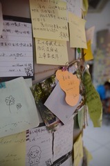 SUN_2549.JPG