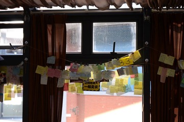 SUN_2551.JPG