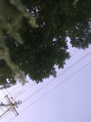 2995634