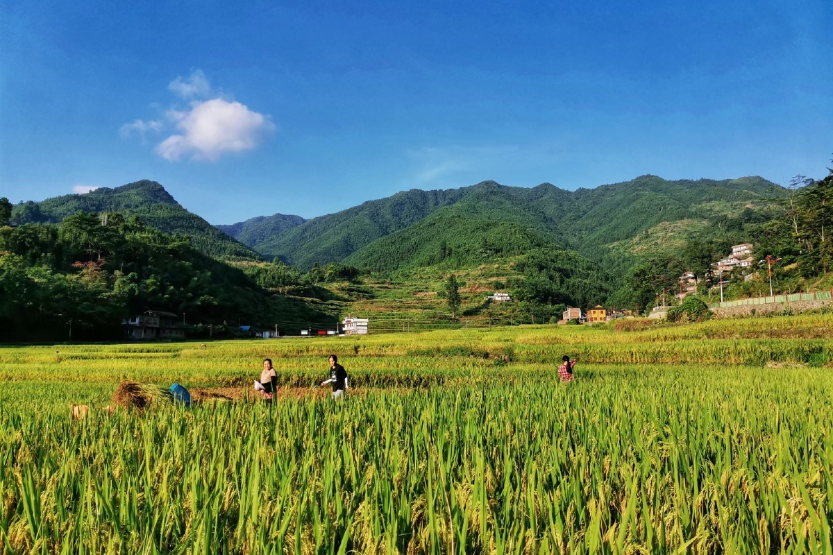 六月禾未秀官家已修仓