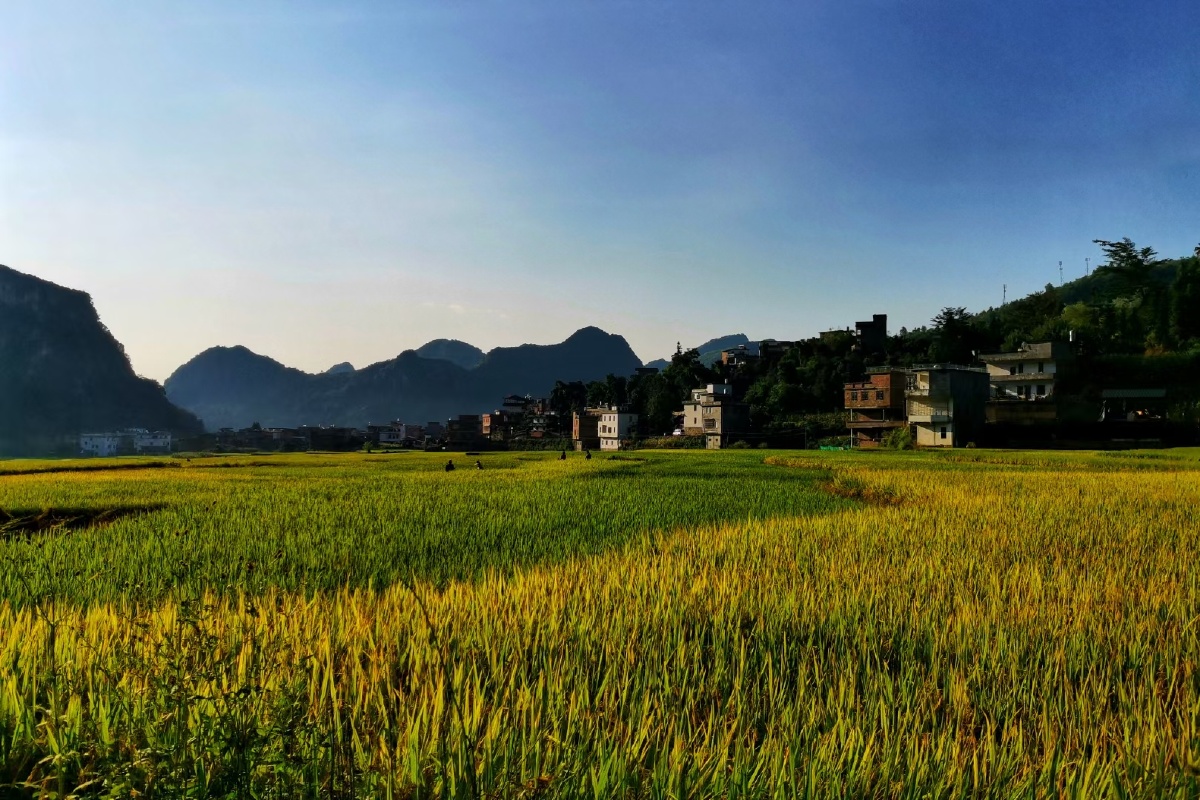 六月禾未秀官家已修仓