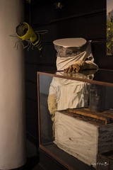 20180415-IMGP7740