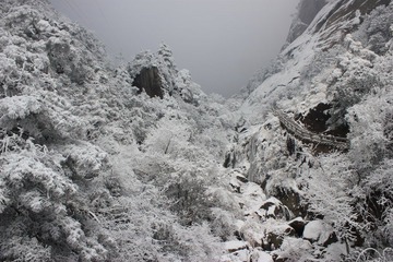 IMG_0896.jpg